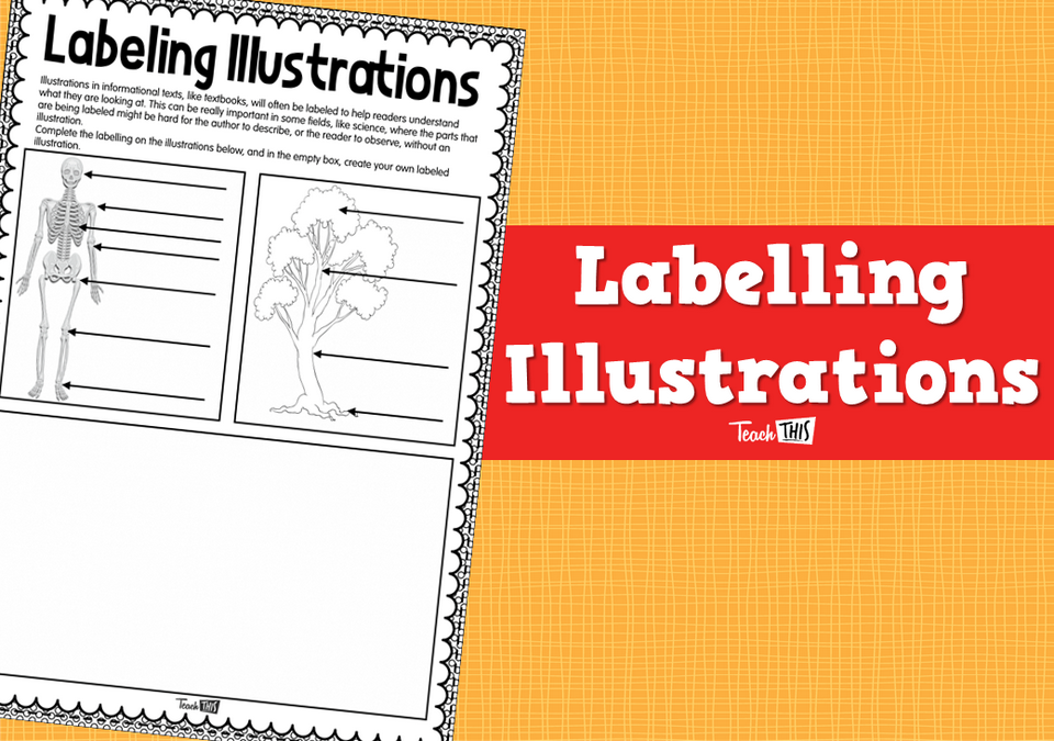 Labeling Illustrations