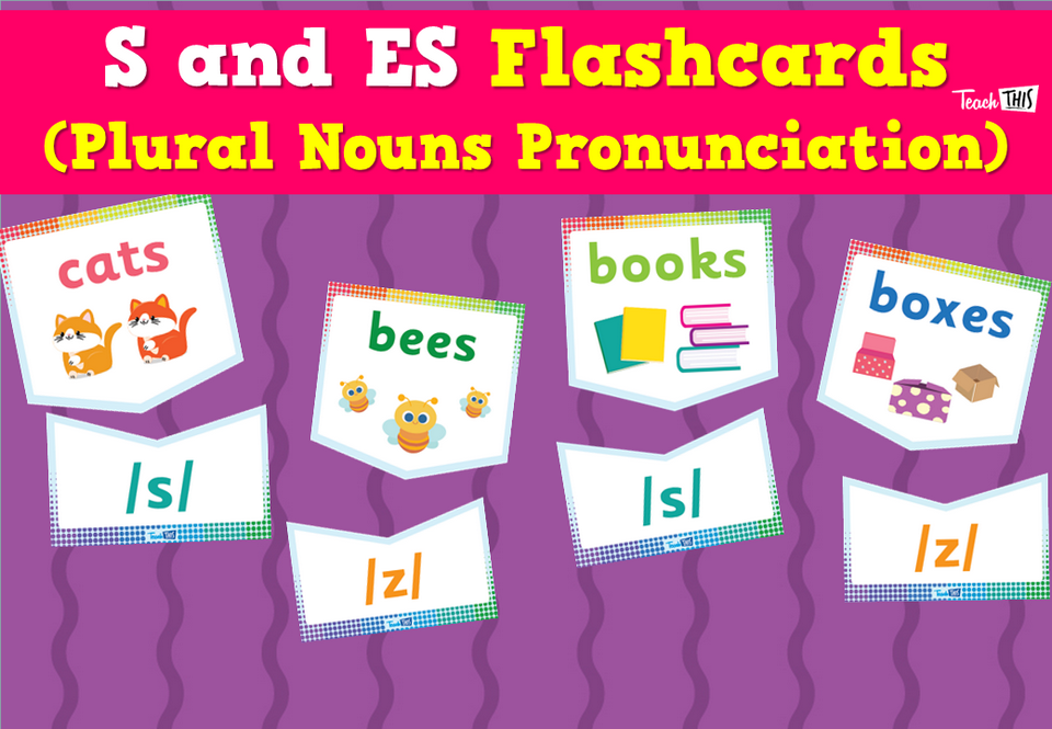 S and ES Flashcards (Plural Nouns Pronunciation)