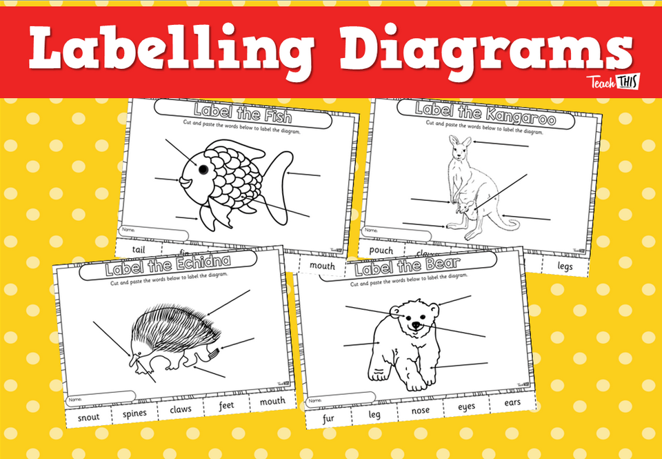 Labelling Diagrams