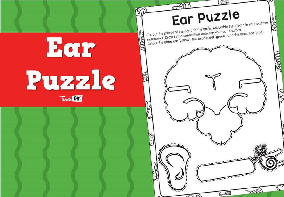 Ear Puzzle