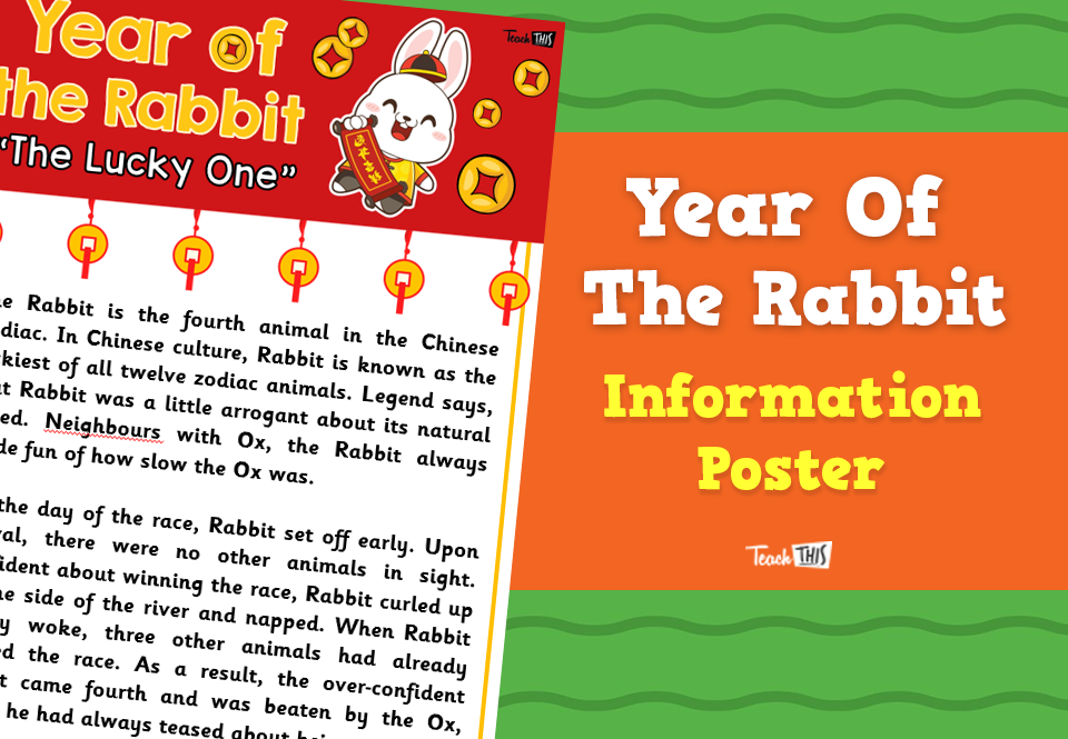 Year Of The Rabbit - Information Poster