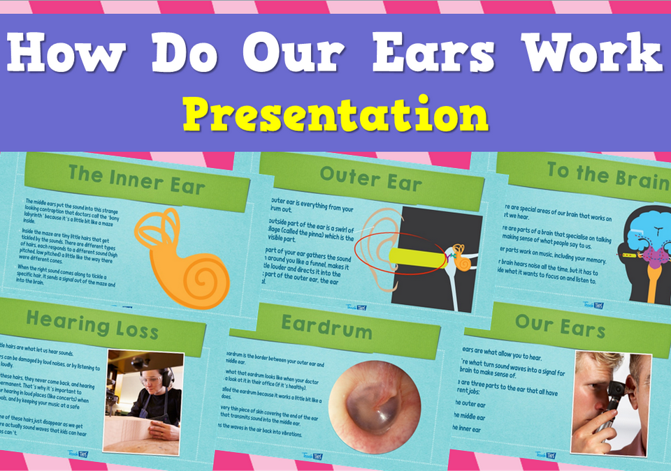 How Do Our Ears Work - Presentation