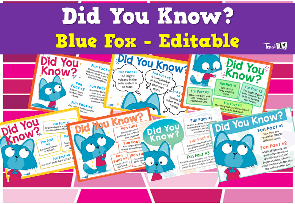 Did You Know? Blue Fox - Editable