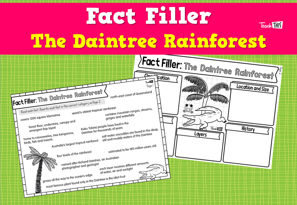Fact Filler: The Daintree Rainforest