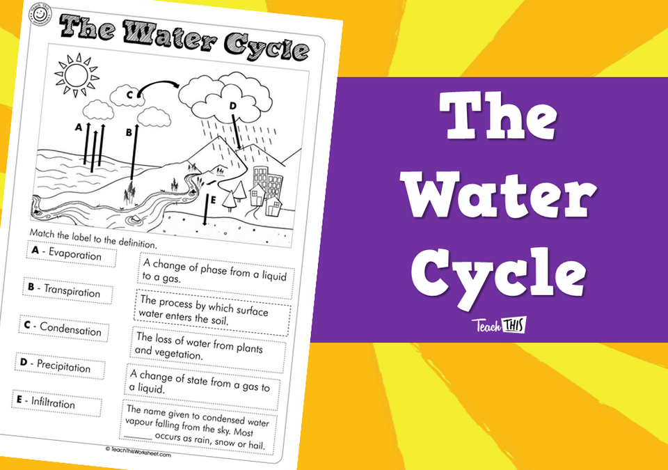 The Water Cycle (1pg)