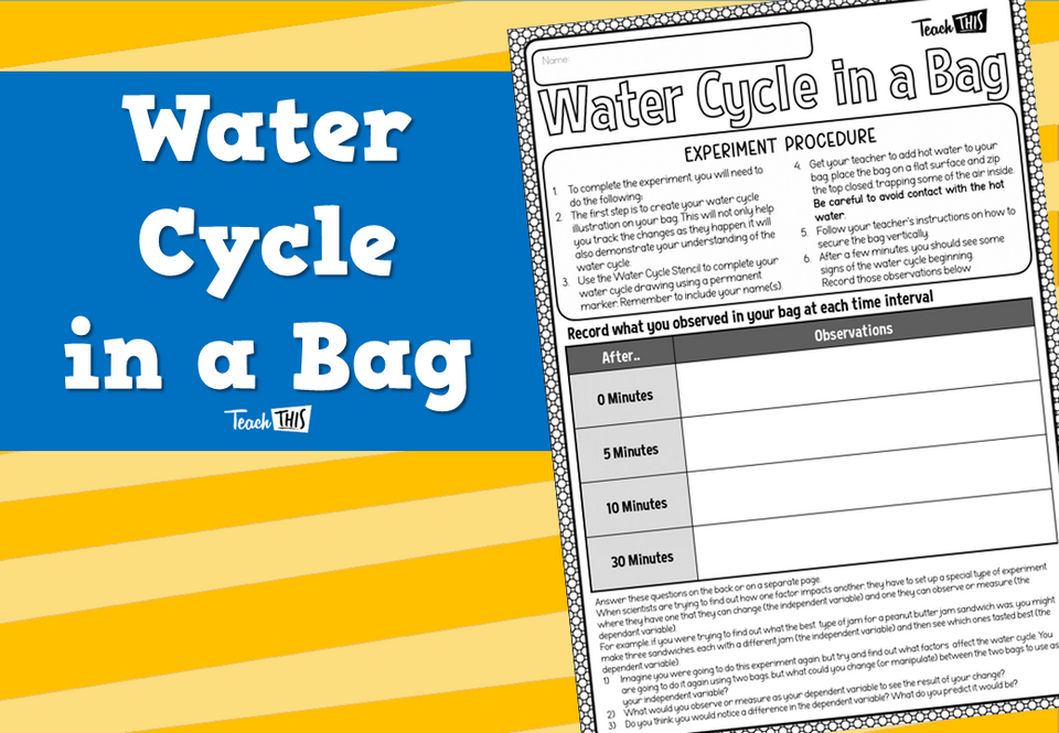 Water Cycle in a Bag