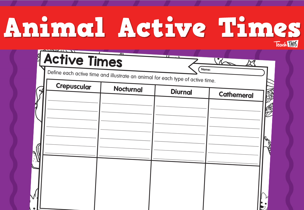 Animal Active Times