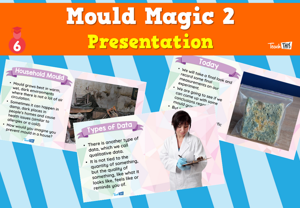 Mould Magic 2 - Presentation