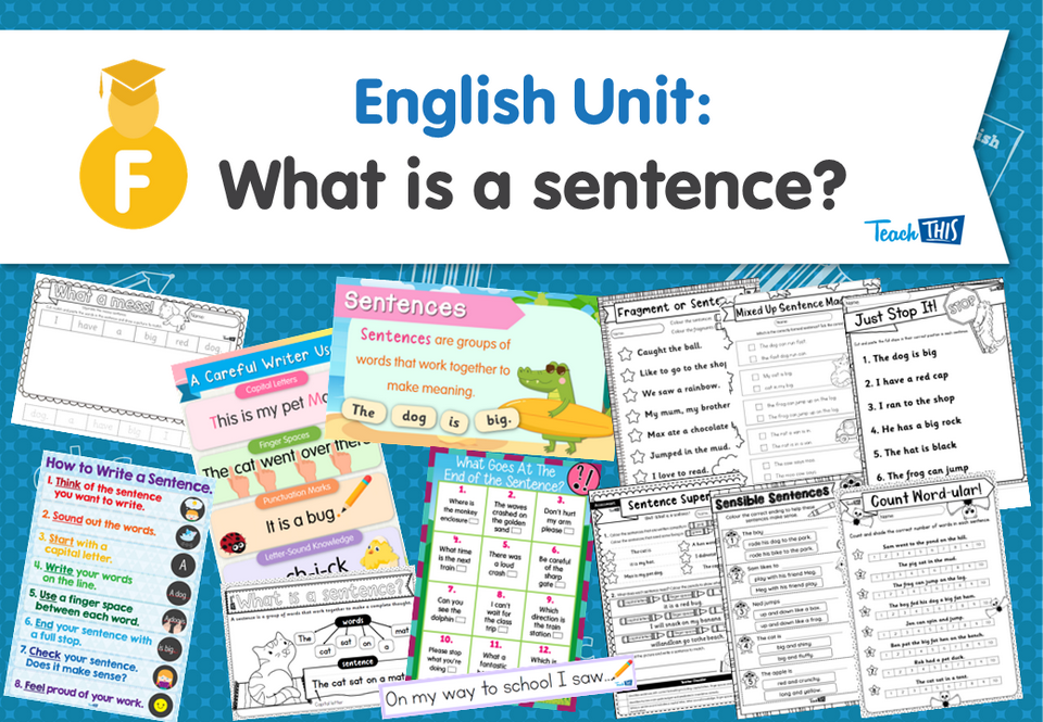 English Unit: What is a sentence?