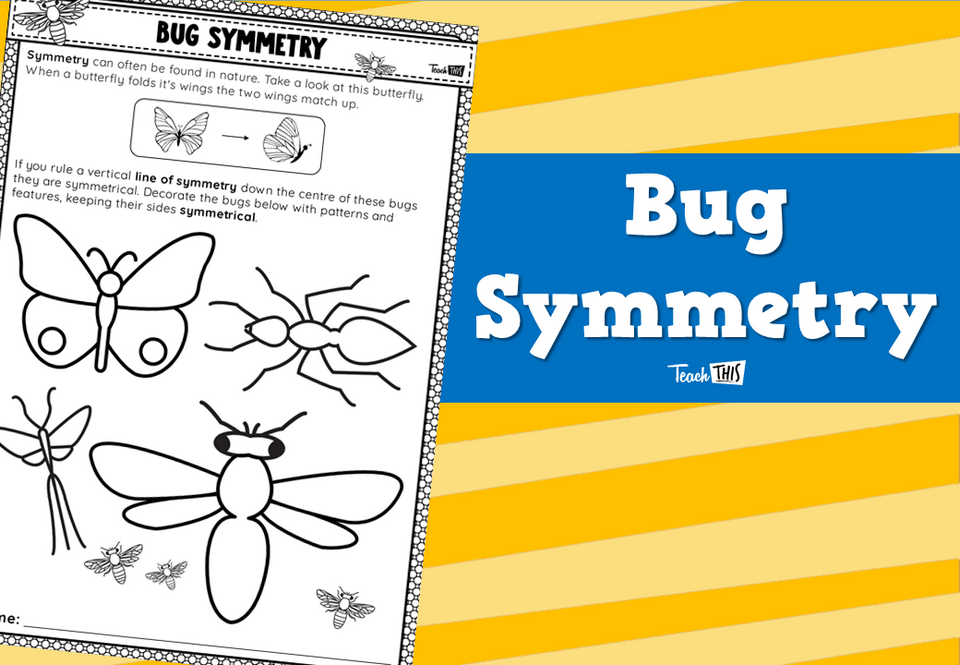 Bug Symmetry