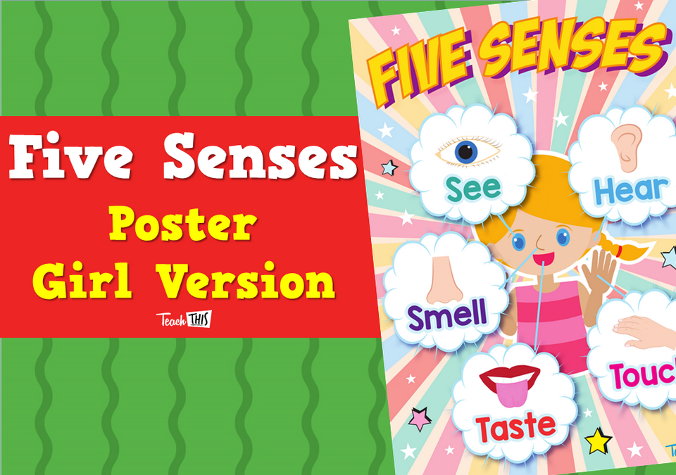 Five Senses Poster - Girl Version
