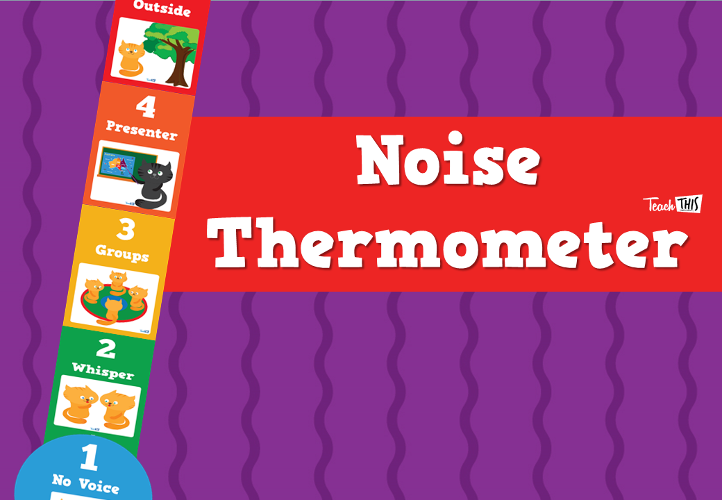 Noise Thermometer