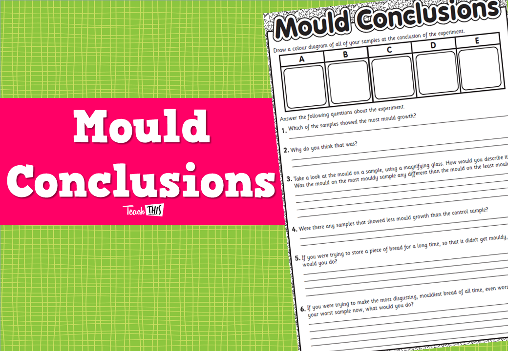 Mould Conclusions