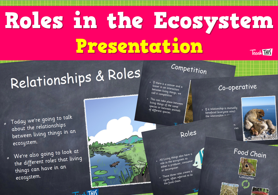 Roles in the Ecosystem - Presentation