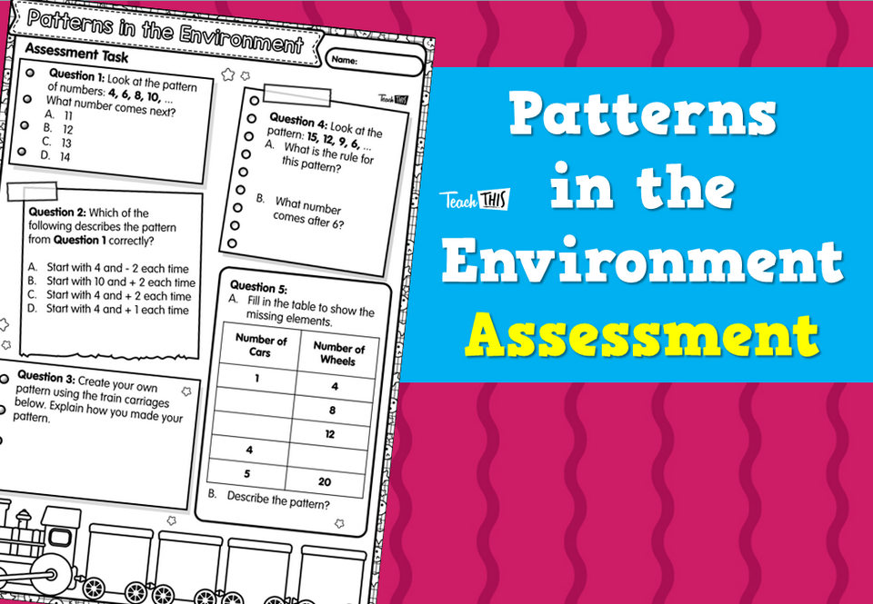 Patterns in the Environment Assessment