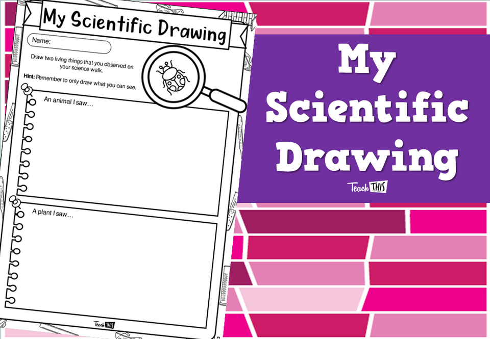 My Scientific Drawing