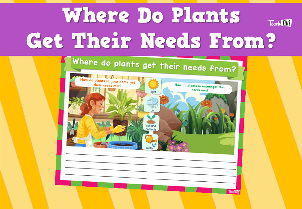 Where Do Plants Get Their Needs From?