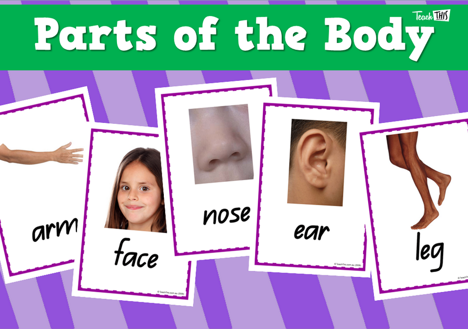 Parts of the Body