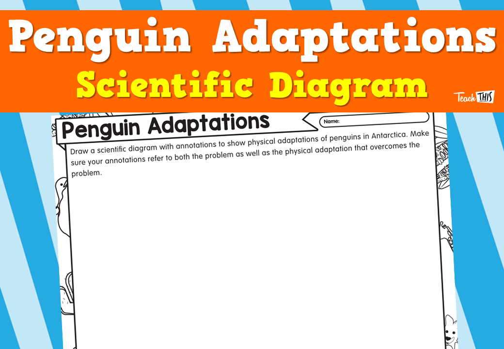 Penguin Adaptations - Scientific Diagram