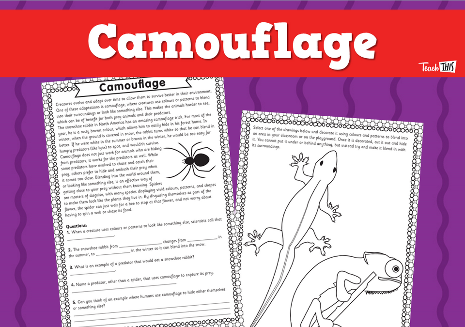 Camouflage