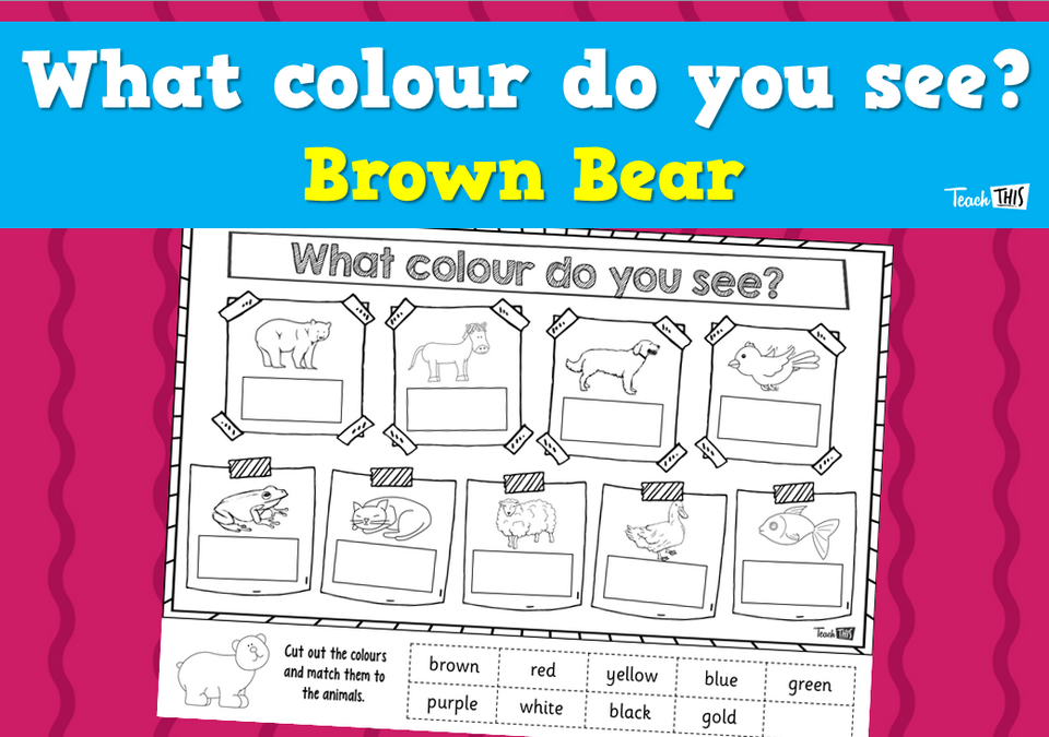What colour do you see? - Brown Bear