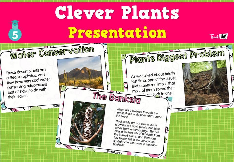 Clever Plants - Presentation