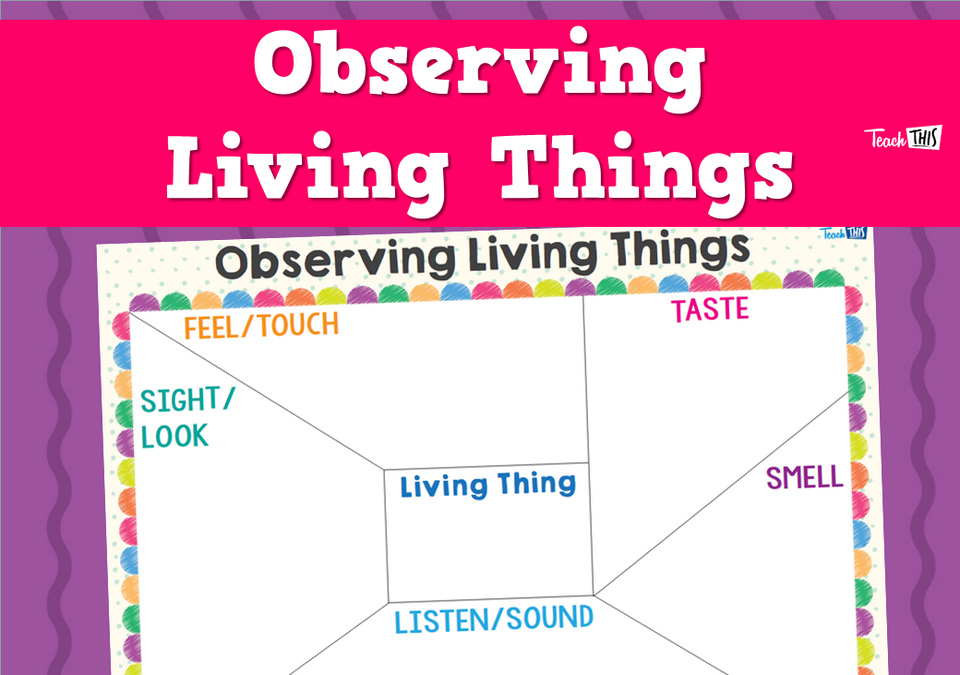 Observing Living Things