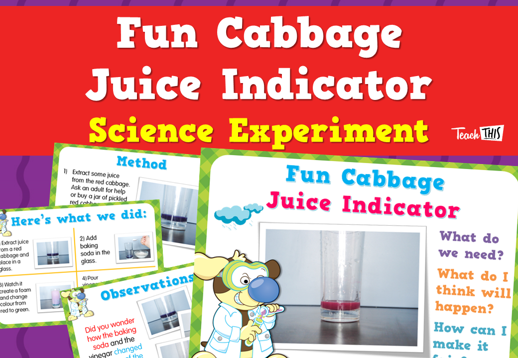 Fun Cabbage Juice Indicator