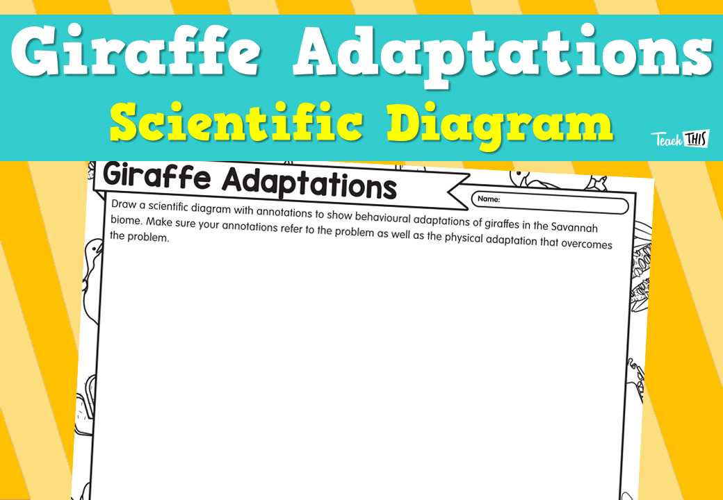 Giraffe Adaptations - Scientific Diagram