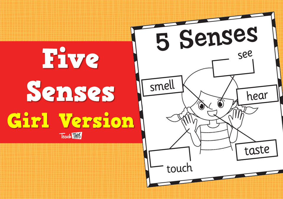 Five Senses - Girl Version