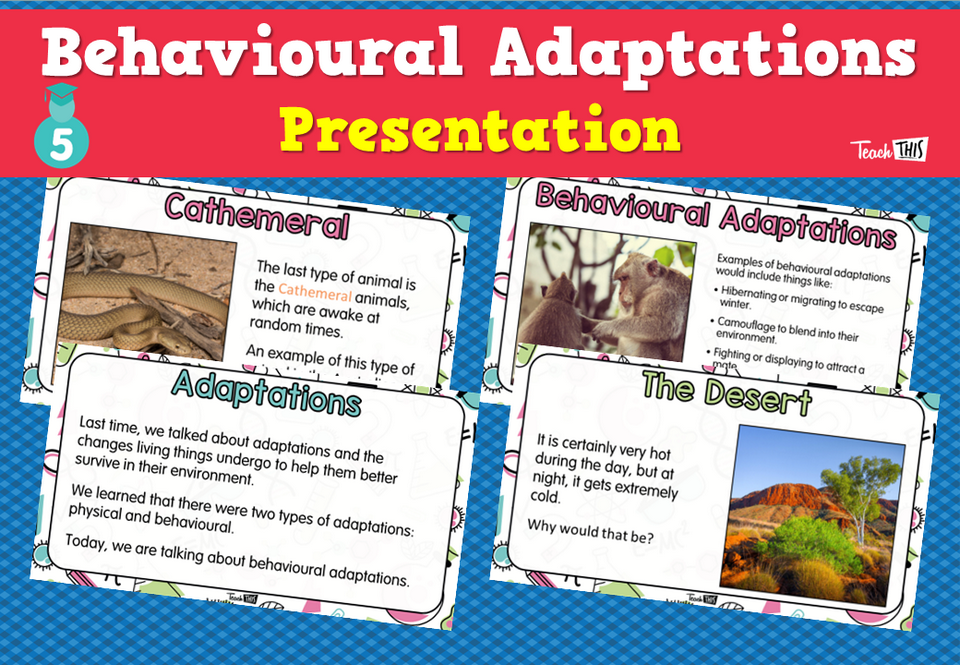 Behavioural Adaptations - Presentation