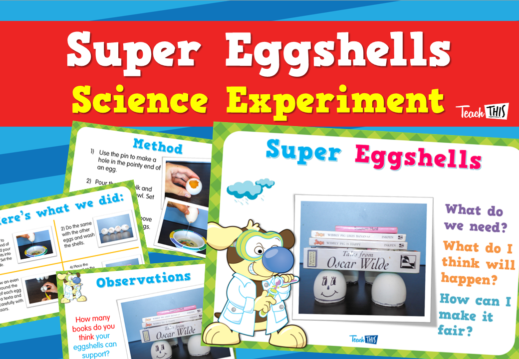 Super Eggshells