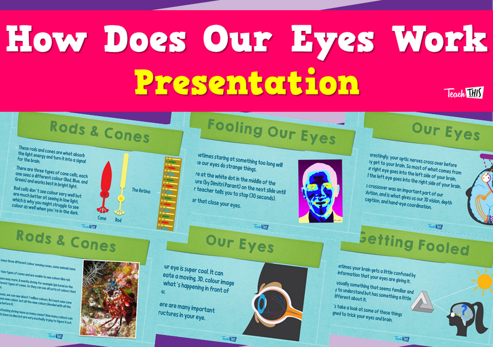 How Does Our Eyes Work - Presentation