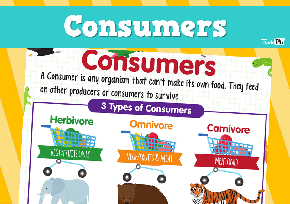 Consumers