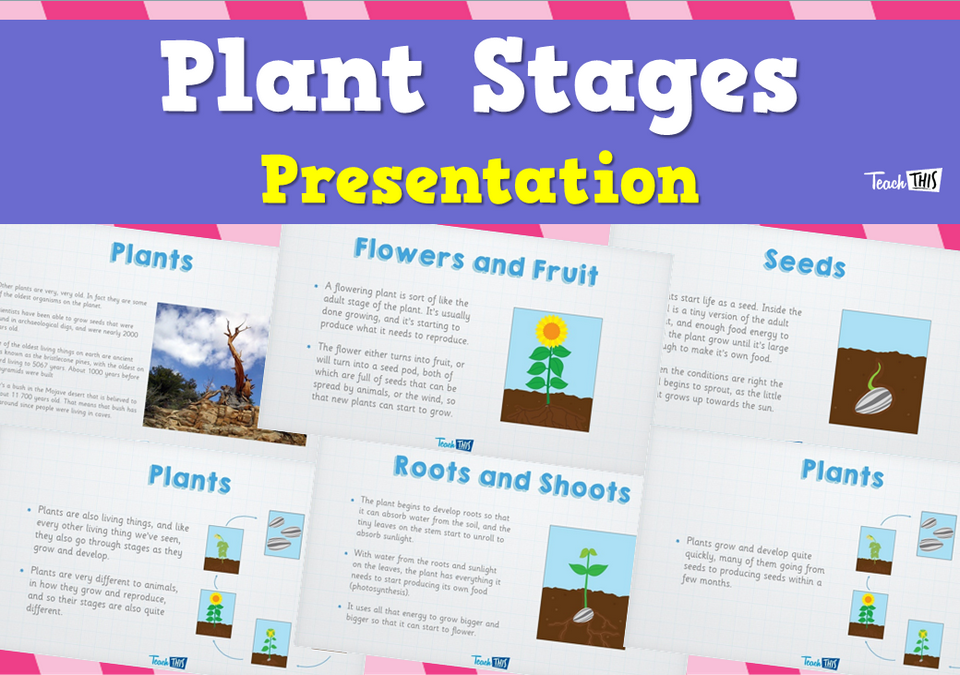 Plant Stages