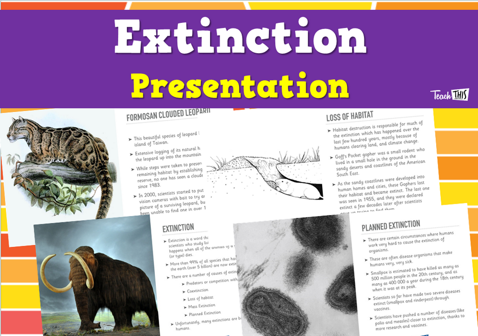 Extinction - Presentation