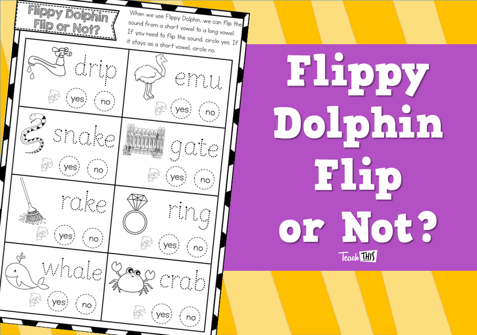 Flippy Dolphin Flip or Not?