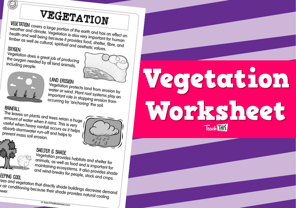 Vegetation Worksheets (2 pg)