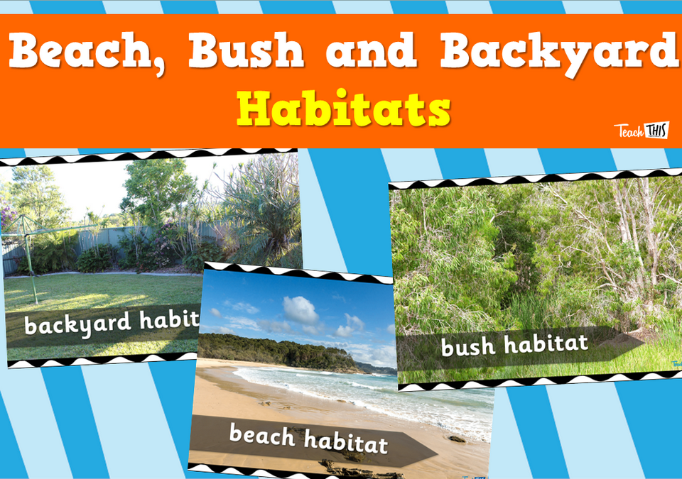 Beach, Bush and Backyard Habitats