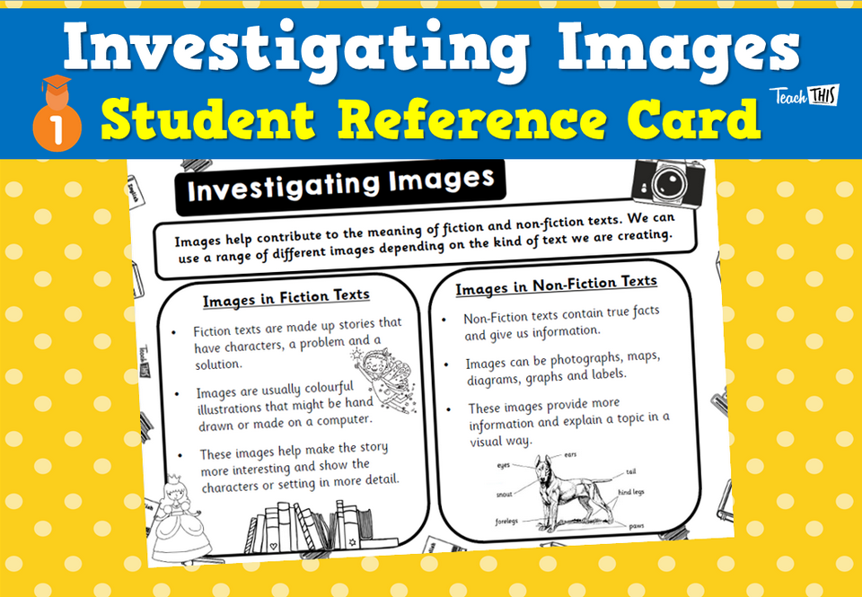 Investigating Images - Student Reference Card