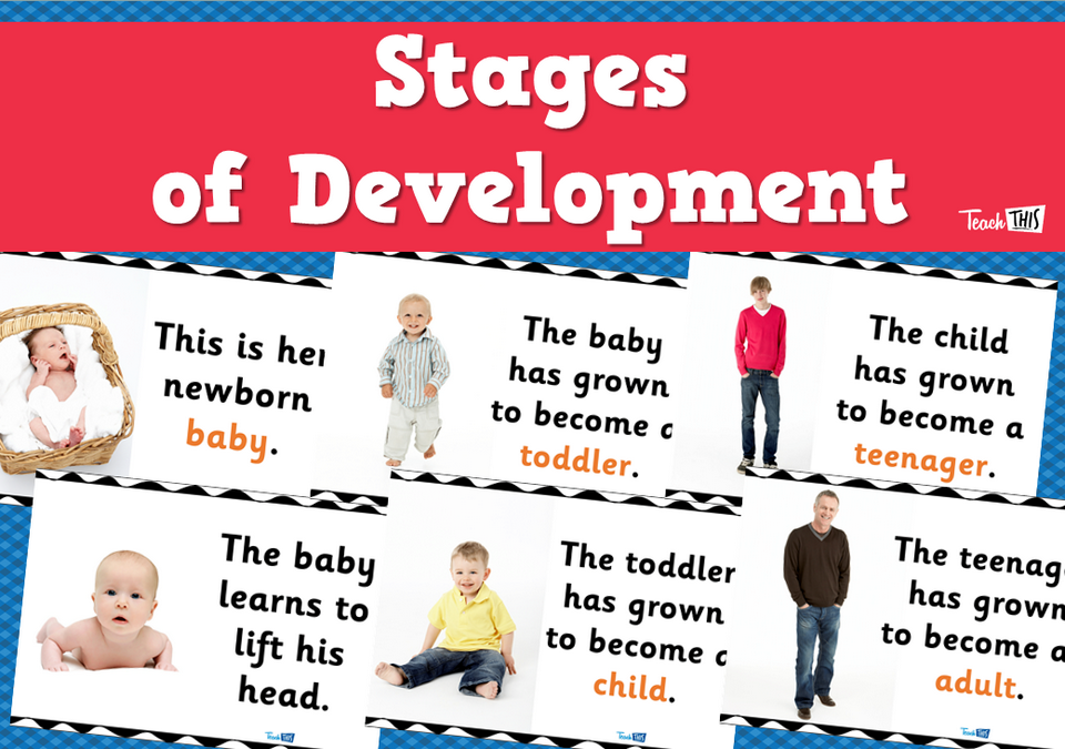 Stages of Development