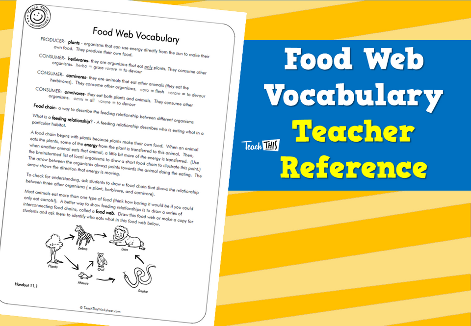 Food Web Vocabulary - Teacher Reference