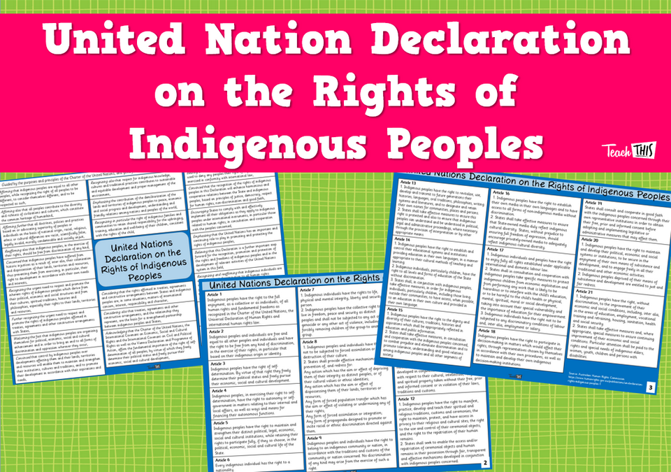 UN Declaration on the Rights of Indigenous Peoples
