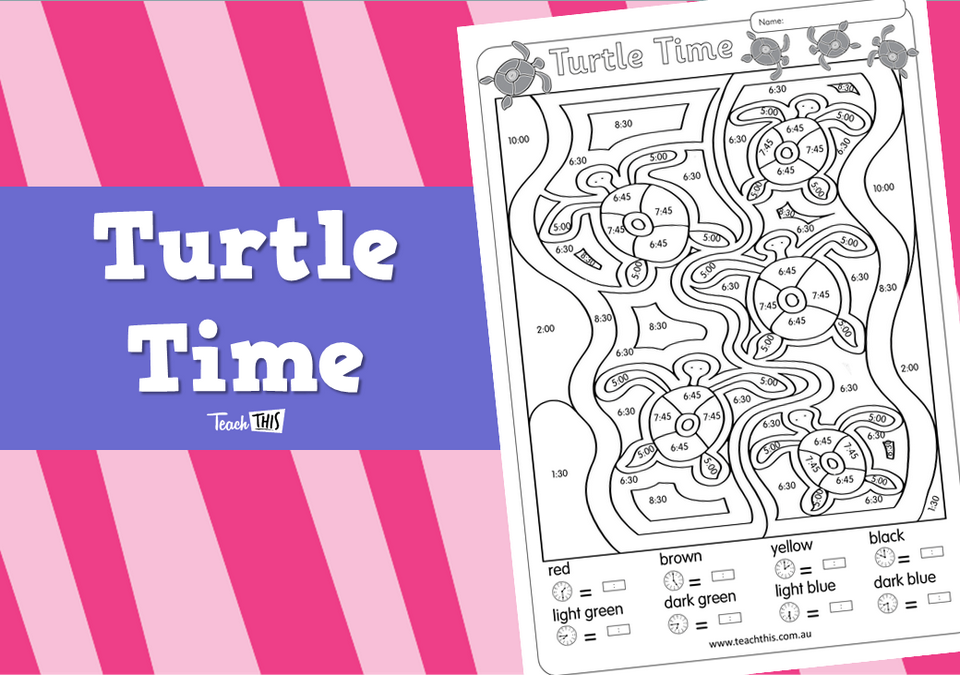 Turtle Time