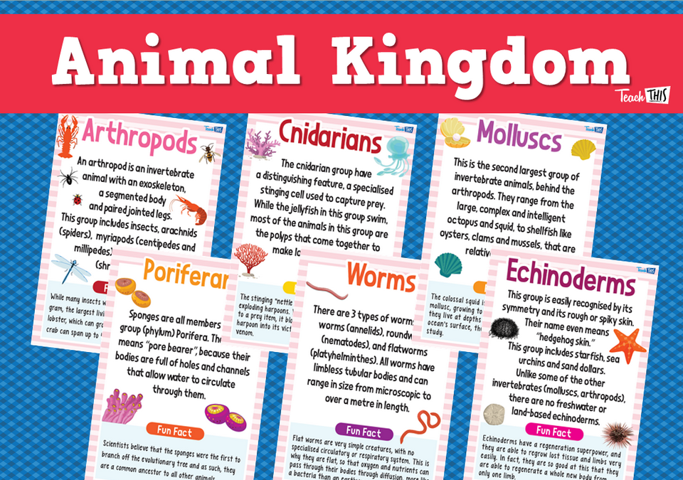 Animal Kingdom