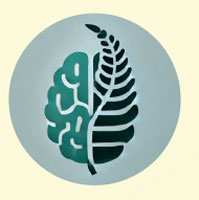 NZ Psychology Clinic