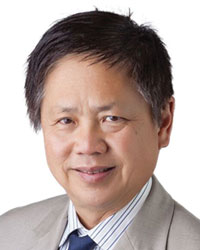 Dr Hla Thein