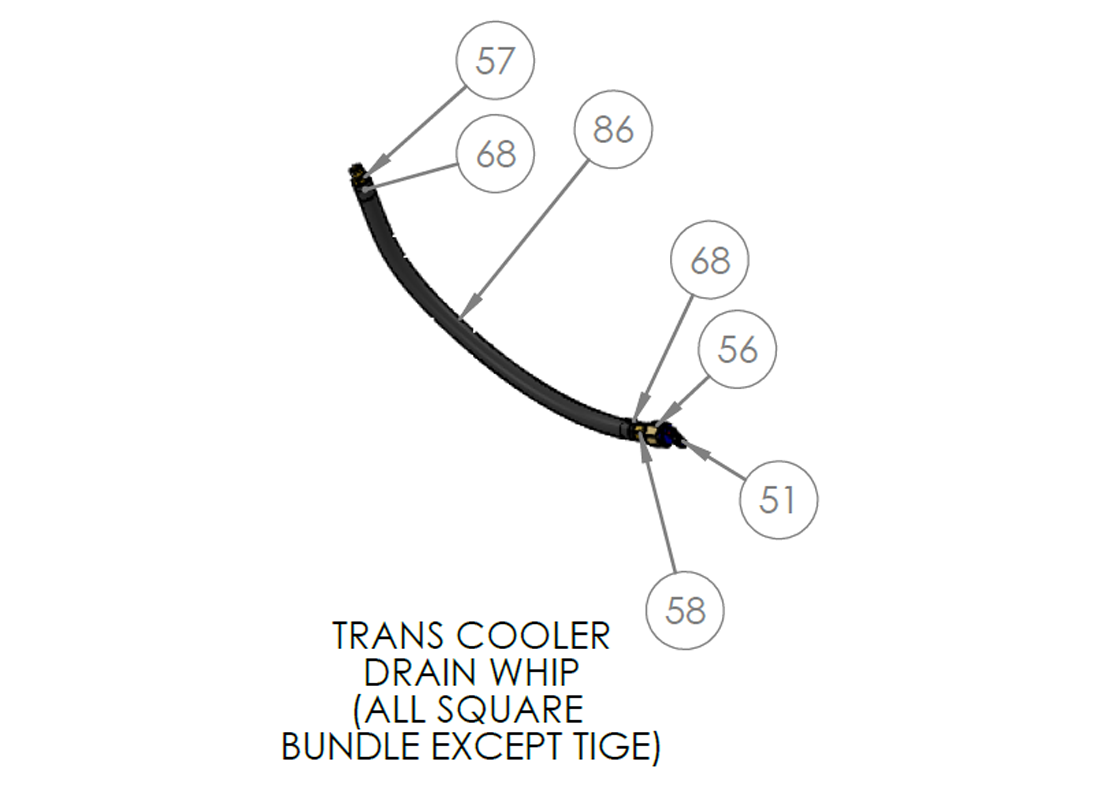 TRANS COOLER DRAIN WHIP (ALL SQUARE BUNDLE EXCEPT TIGE)