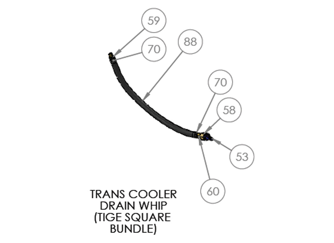 TRANS COOLER DRAIN WHIP (TIGE SQUARE BUNDLE)