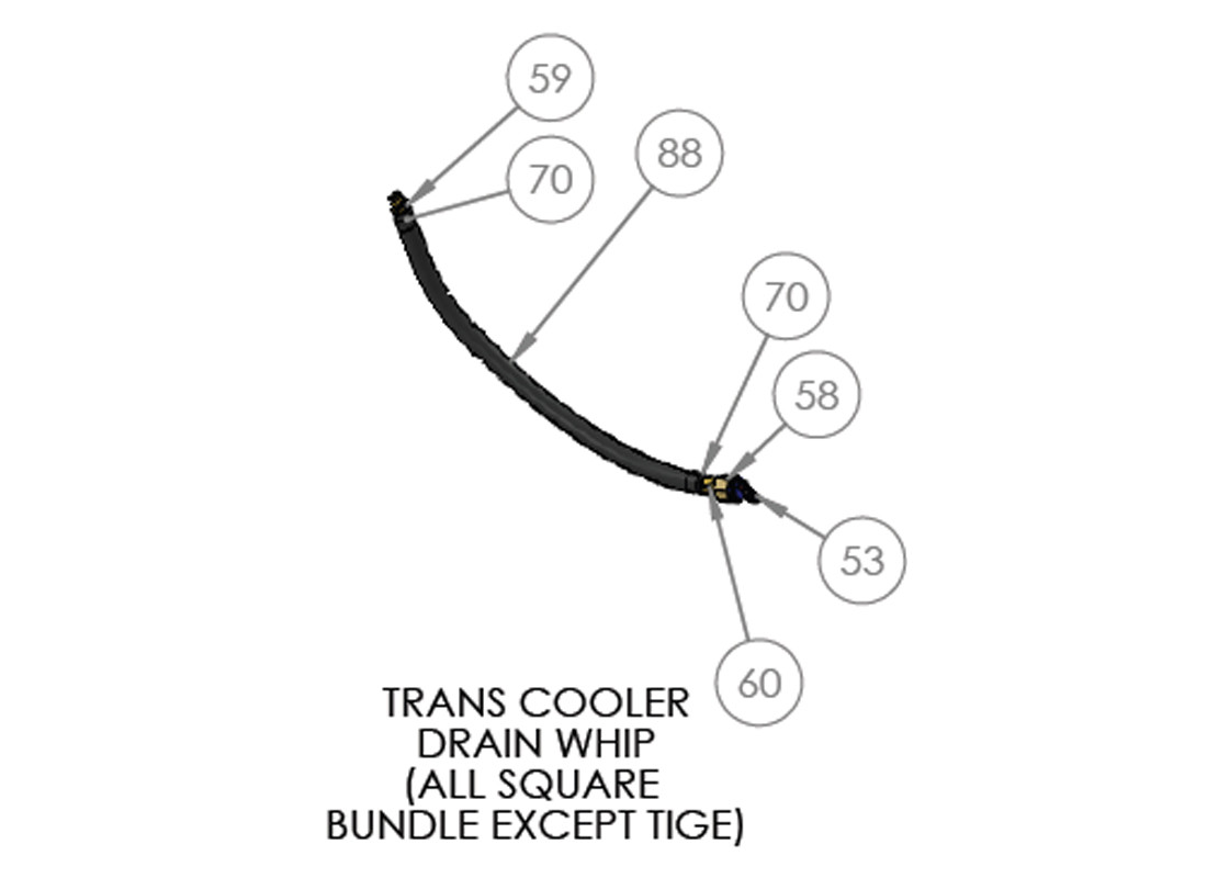 TRANS COOLER 60 DRAIN WHIP (ALL SQUARE BUNDLE EXCEPT TIGE)